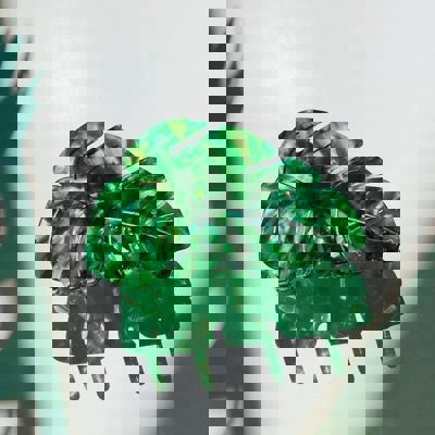 Velvet Claws Monstera Leaf Hair Claw