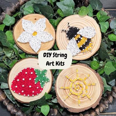 DIY String Art kits, Honey Bee, Strawberry, Flower and Sun