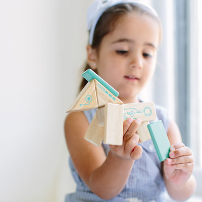 Robo Magnetic Wooden Block Set